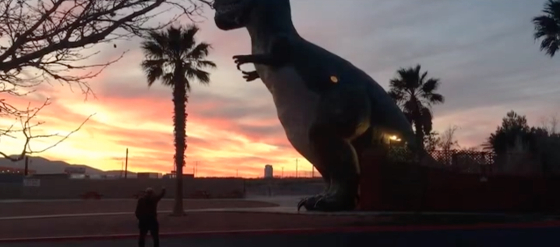 The back of Wexner Center Assistant Film/Video Curator Chris Stults as he waves goodbye to the setting sun at the California site of the Cabazon dinosaurs, for Layla Muchnik-Benali's video project "waving goodbye (or hello) to the sun"